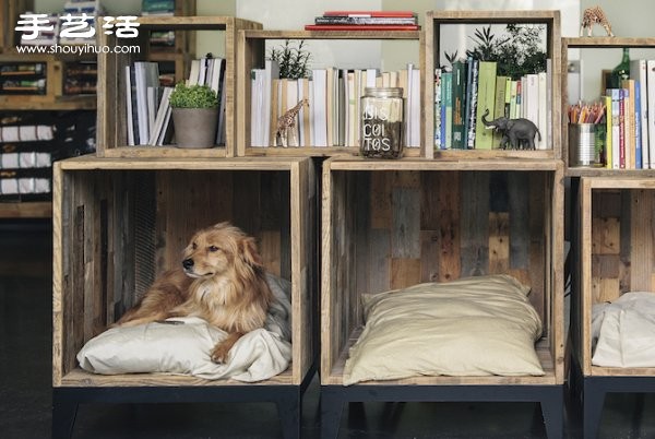 The layout design of a pet hospital that makes owners feel at ease as if they were at home