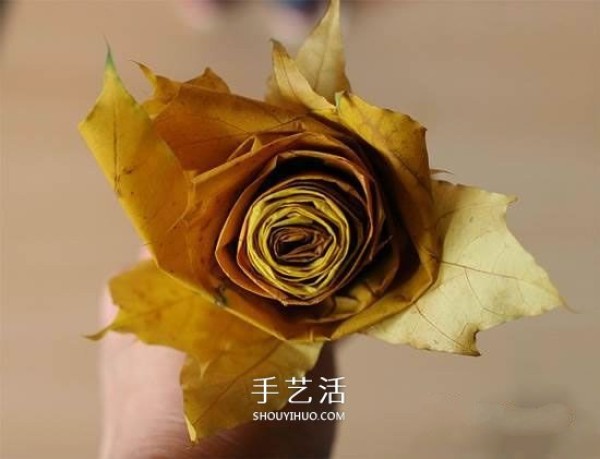 How to make roses with maple leaves, tutorial simple DIY method of maple leaf roses