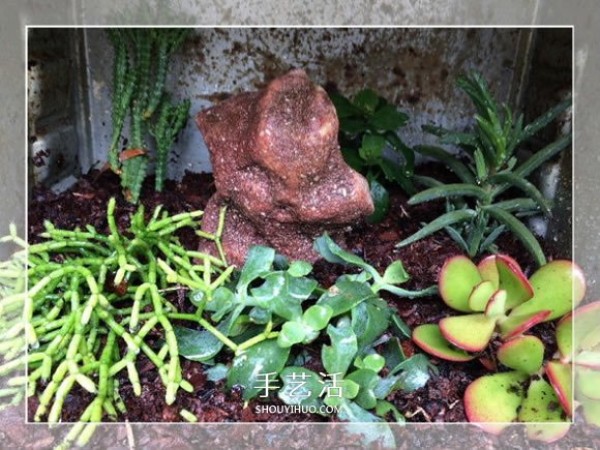 A small way to make a garden bonsai by using old oven waste