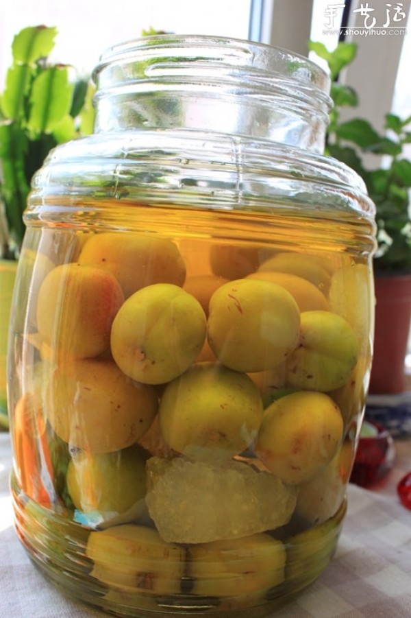 Old-style plum wine DIY