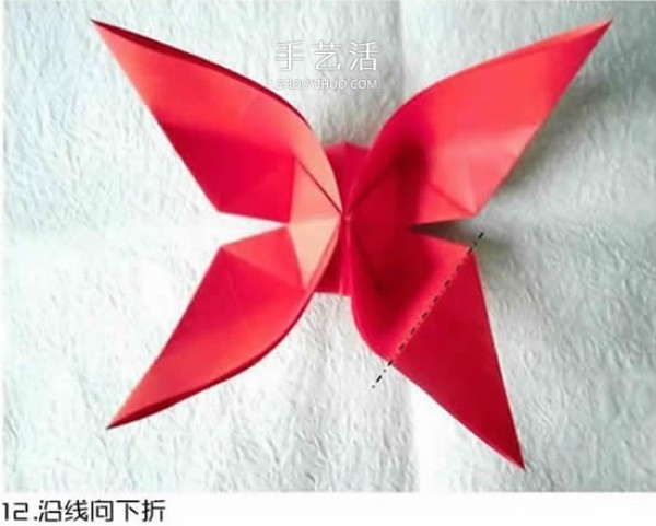 Illustration of the origami method of the beautiful swallowtail butterfly, the largest butterfly