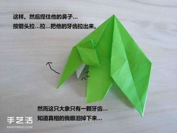 Complex Origami Elephant Steps Illustration Provides CP Pictures and Real Shot Tutorials