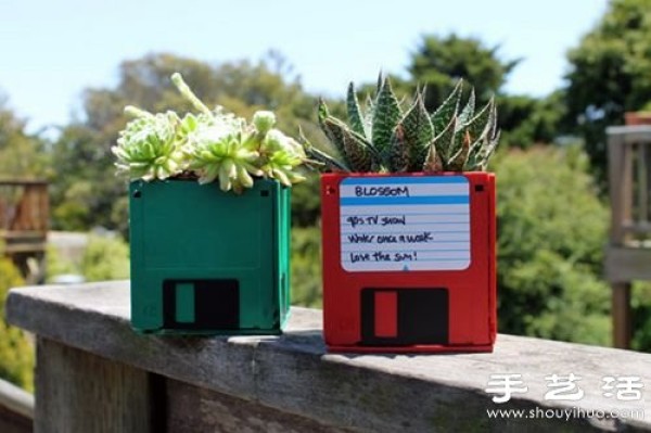 Waste utilization: 12 waste utilization tips for DIY creative potted plants