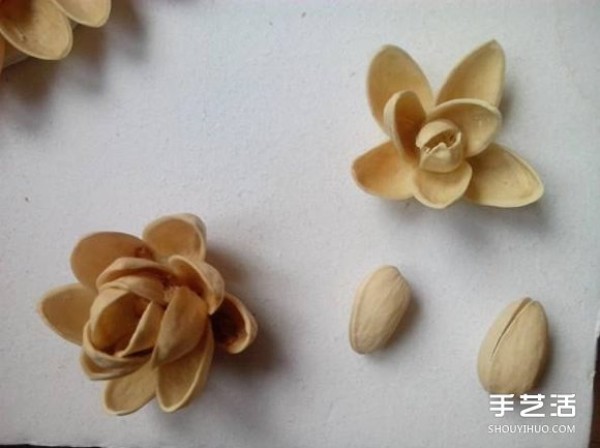 Pistachio Shell Creative Paste Painting Pistachio Shell Paste Lotus Decorative Painting