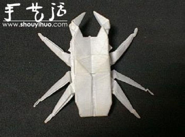 Appreciation of Insect Origami Works