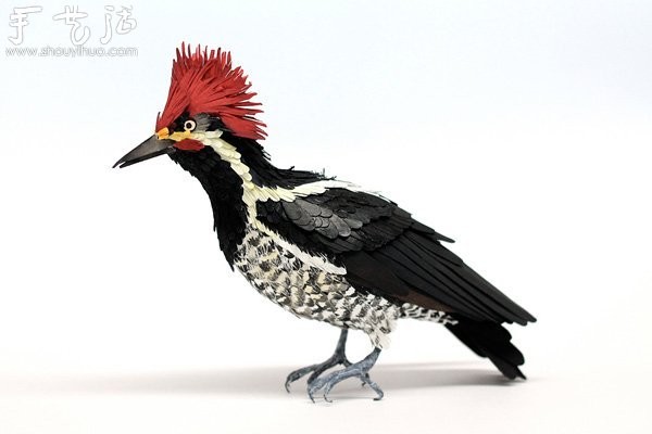 Lifelike bird paper art works