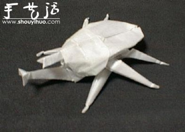 Appreciation of Insect Origami Works