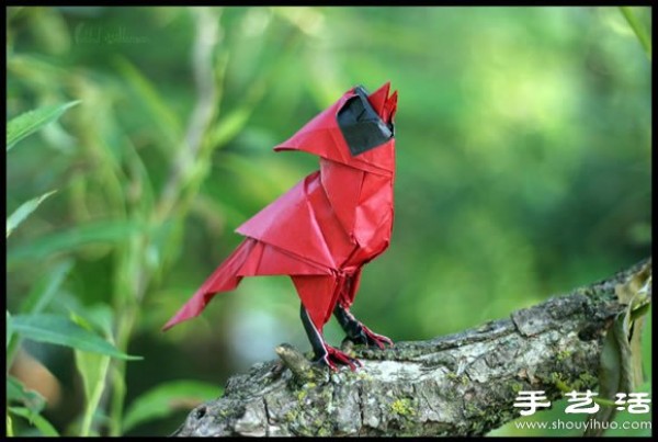 Lifelike and creative origami animals