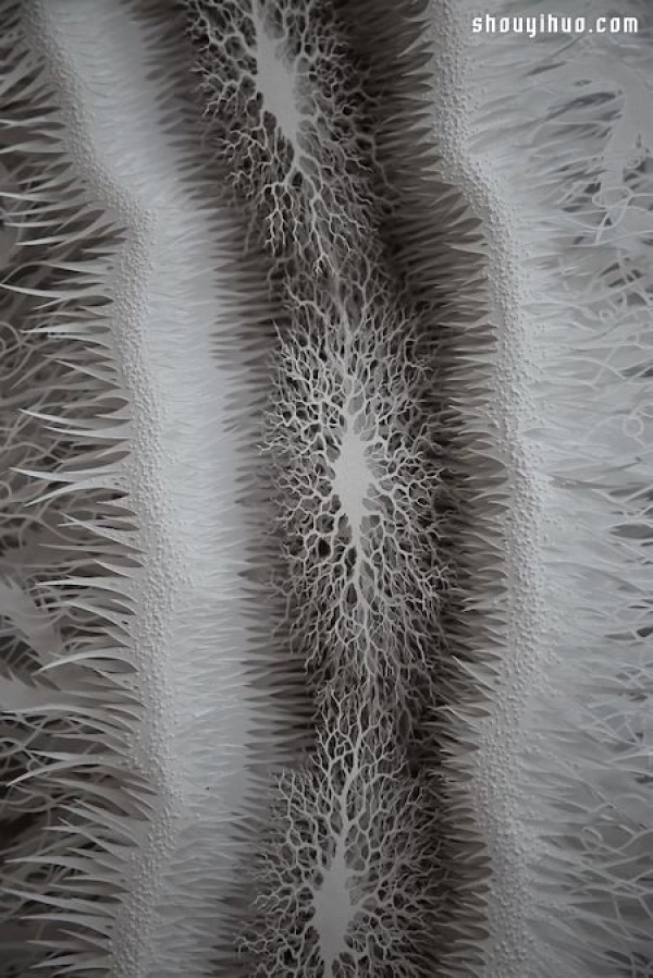 It turns out that bacteria can also be so beautiful! Ultra-fine microbial paper sculpture