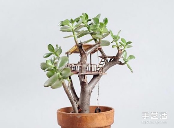 The picture of the mini tree house model builds a small world on the potted plant