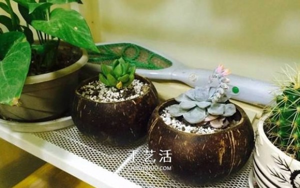 What can you do with coconut shells, a simple DIY DIY using coconut shell waste