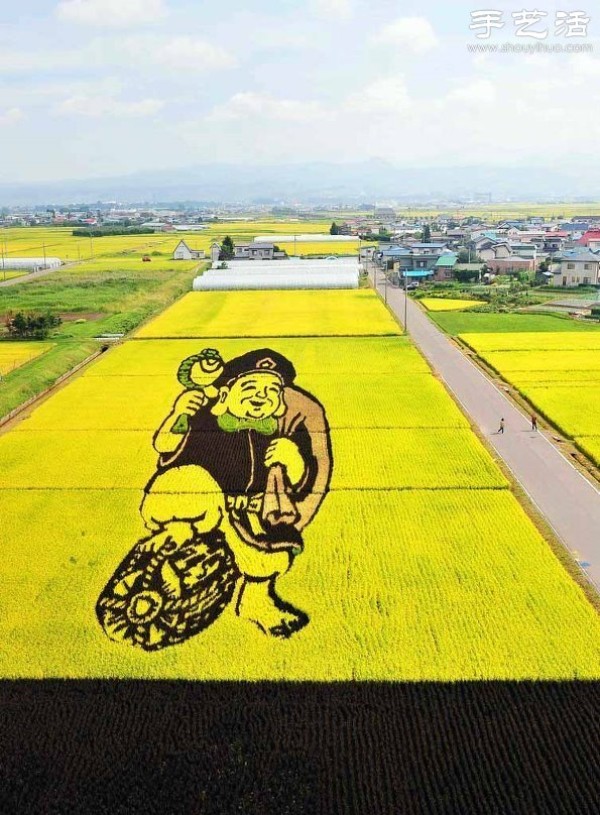 Wonderful and fun creative DIY to create a giant picture in the rice fields