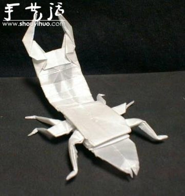 Appreciation of Insect Origami Works