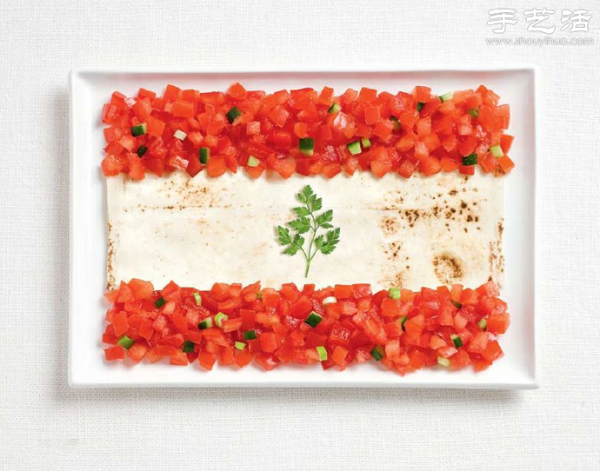 Food Creative Plating DIY Flags of World Countries