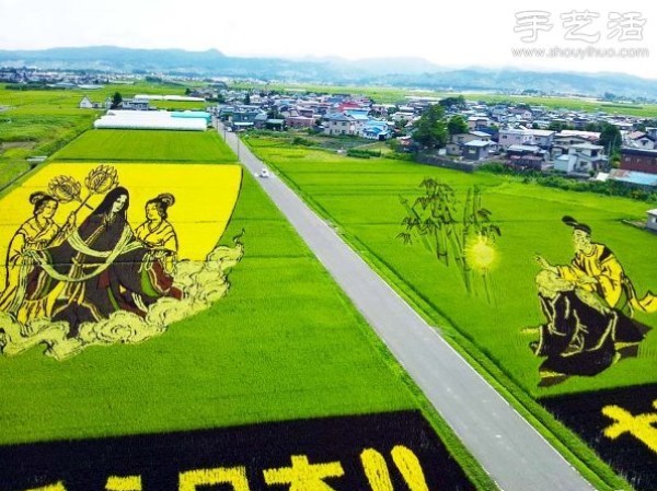 Wonderful and fun creative DIY to create a giant picture in the rice fields