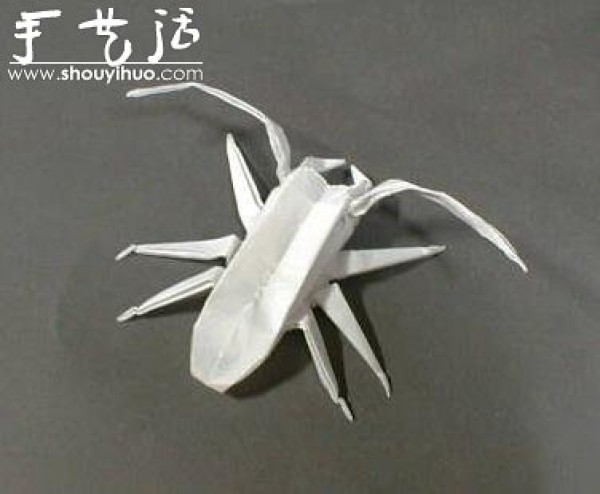 Appreciation of Insect Origami Works