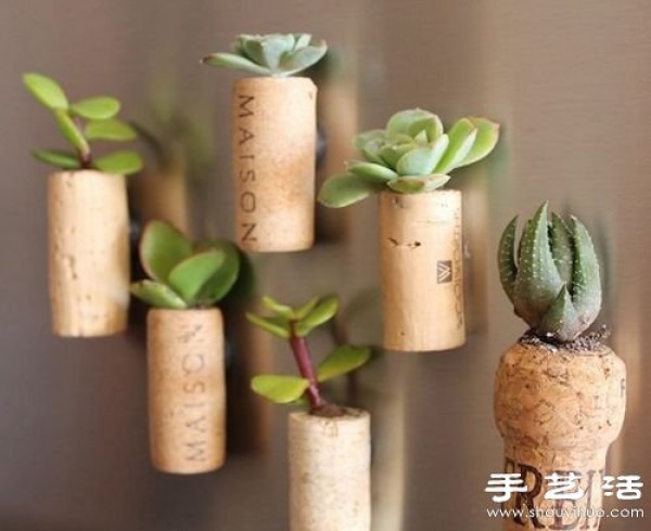 Waste utilization: 12 waste utilization tips for DIY creative potted plants