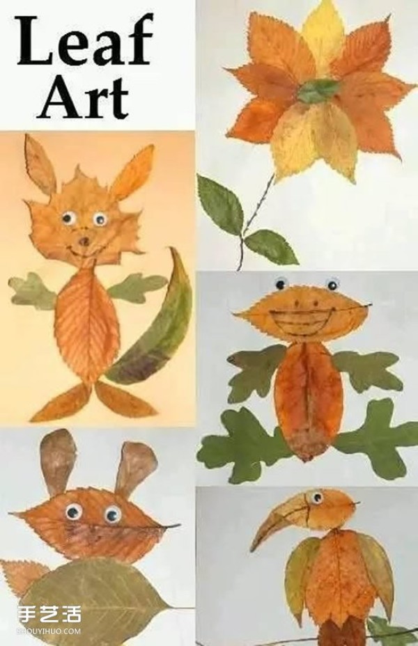 A collection of childrens leaf stickers, pictures of autumn leaves collage