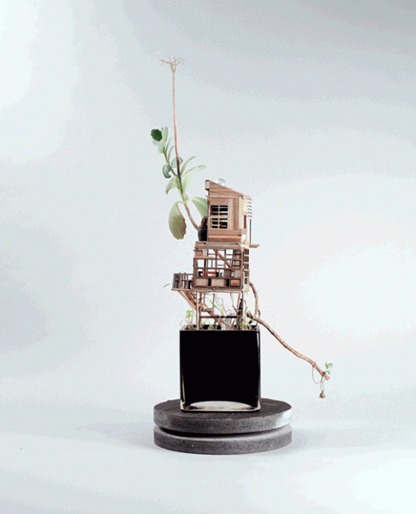 DIY exquisite treehouse model on a potted plant, a Lilliputian-like miniature building