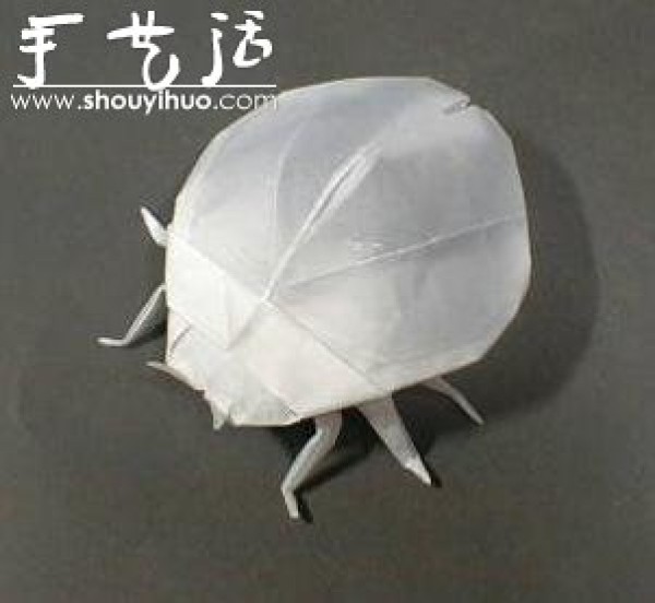 Appreciation of Insect Origami Works