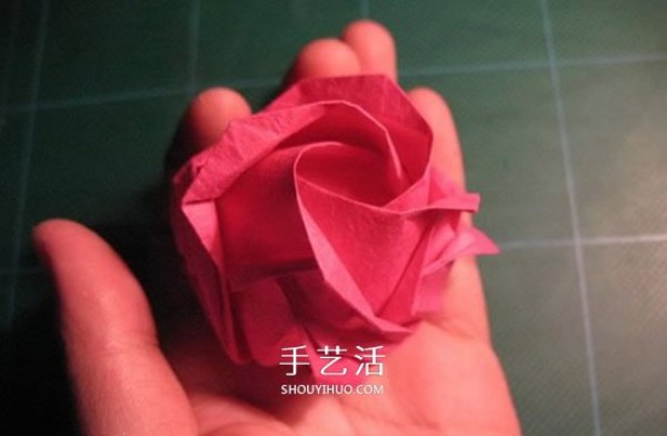 GG Rose Folding Illustration Beautiful and Detailed Rose Origami