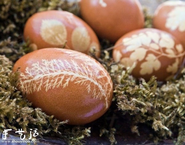 Creative handmade production of boiled eggs: printing and dyeing with white flowers and grass