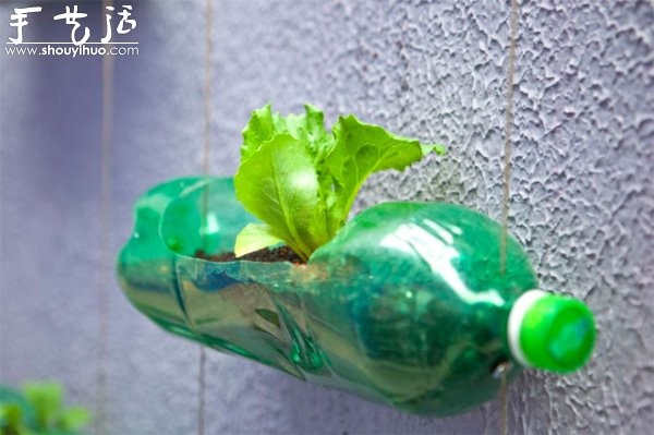 DIY vertical plastic bottle garden on the wallBottle Garden