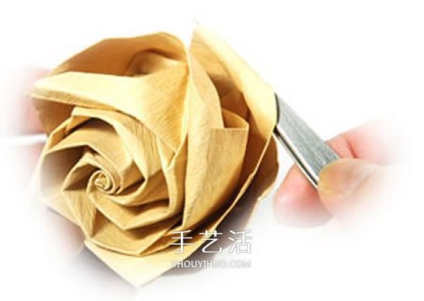 The origami steps of the curled rose, the folding method of the hand-rolled paper rose