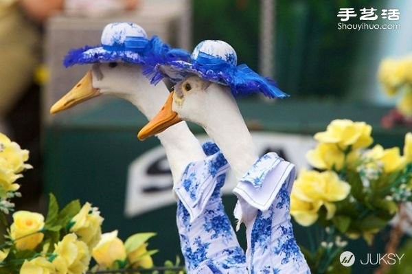 The Australian Royal Easter Show puts on a duck fashion show