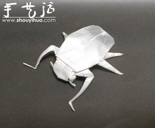 Appreciation of Insect Origami Works