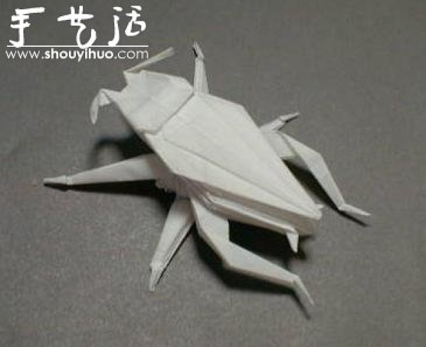 Appreciation of Insect Origami Works