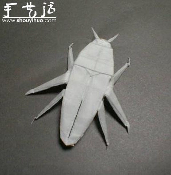 Appreciation of Insect Origami Works