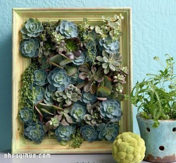 DIY Handmade Illustrated Tutorial on Personalized Succulent Decorative Paintings