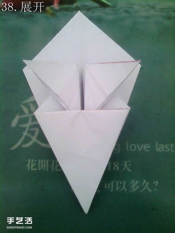 Tetsu Kamiya Tenma Origami Tutorial with Illustrations of Complex Three-dimensional Pegasus Folding