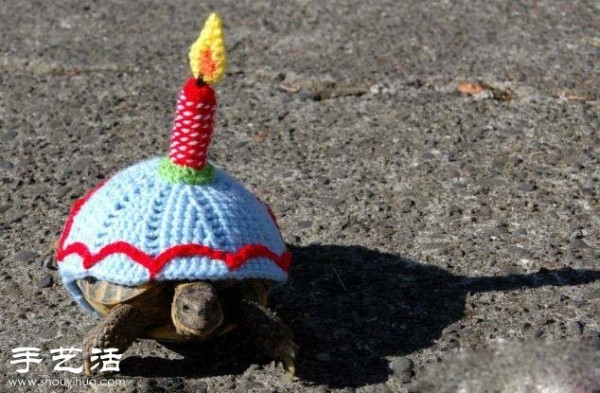 Creative knitting: What if you put clothes on the turtle! 