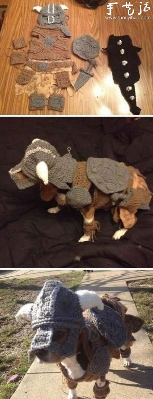 The armor my wife knitted for the dog