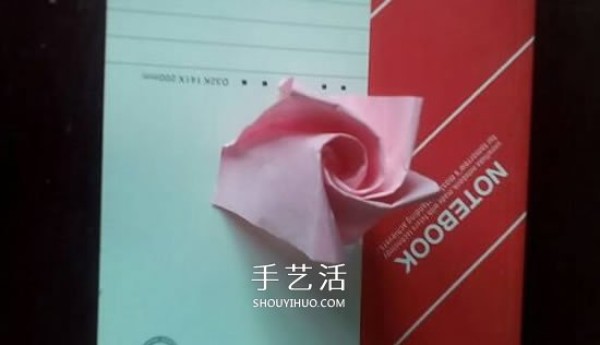 How to Fold a Champagne Rose Illustration of the Origami Champagne Rose