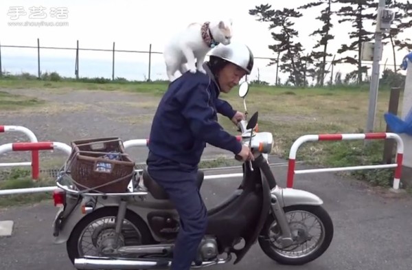 The happy life of Ryuunosuke, the Japanese version of the cat on the shoulder, and the cute old man