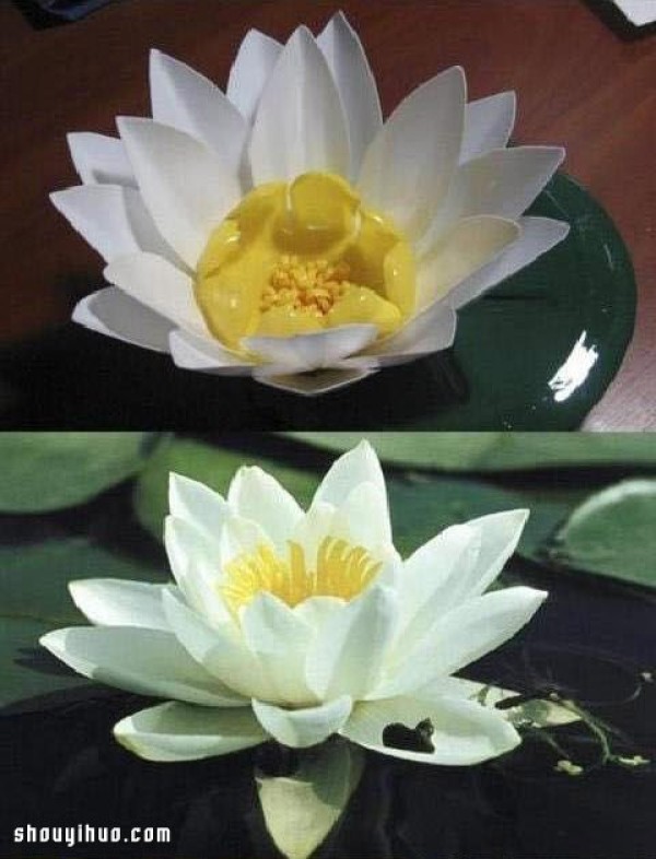 Plastic bottles are turned into treasures to make beautiful handmade lotus flowers