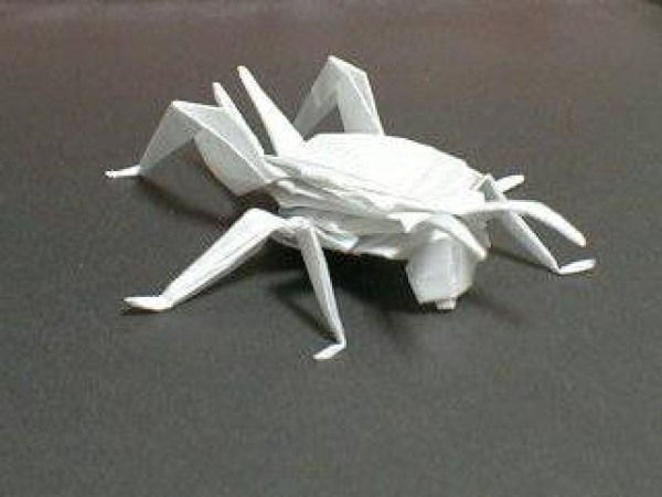 Appreciation of Insect Origami Works