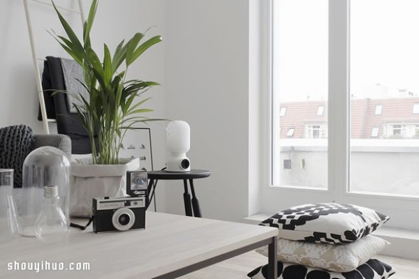 Black and white gray space + Grass leaf potted Berlin personalized home decoration