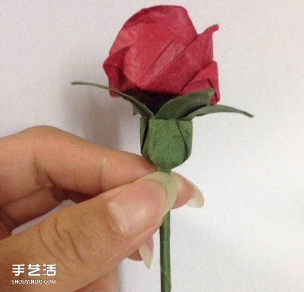 Super detailed illustration of how to fold Kawasaki rose, including flowers and receptacles