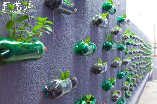 DIY vertical plastic bottle garden on the wall