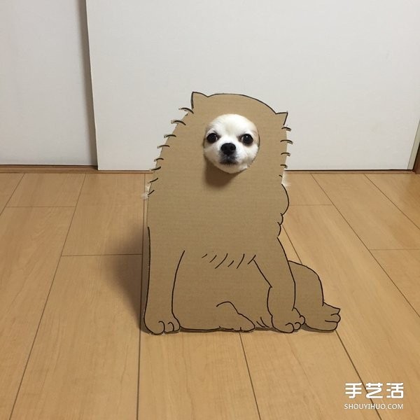 Thick cardboard + dog nose = pet transforms to see how the owner pranks the cutie