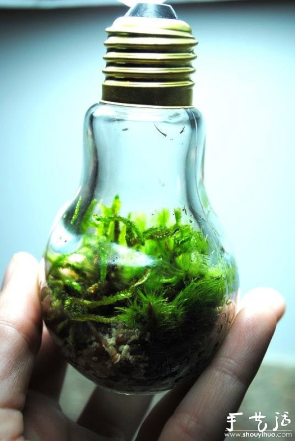 Handmade DIY old-fashioned light bulb ecological bottle