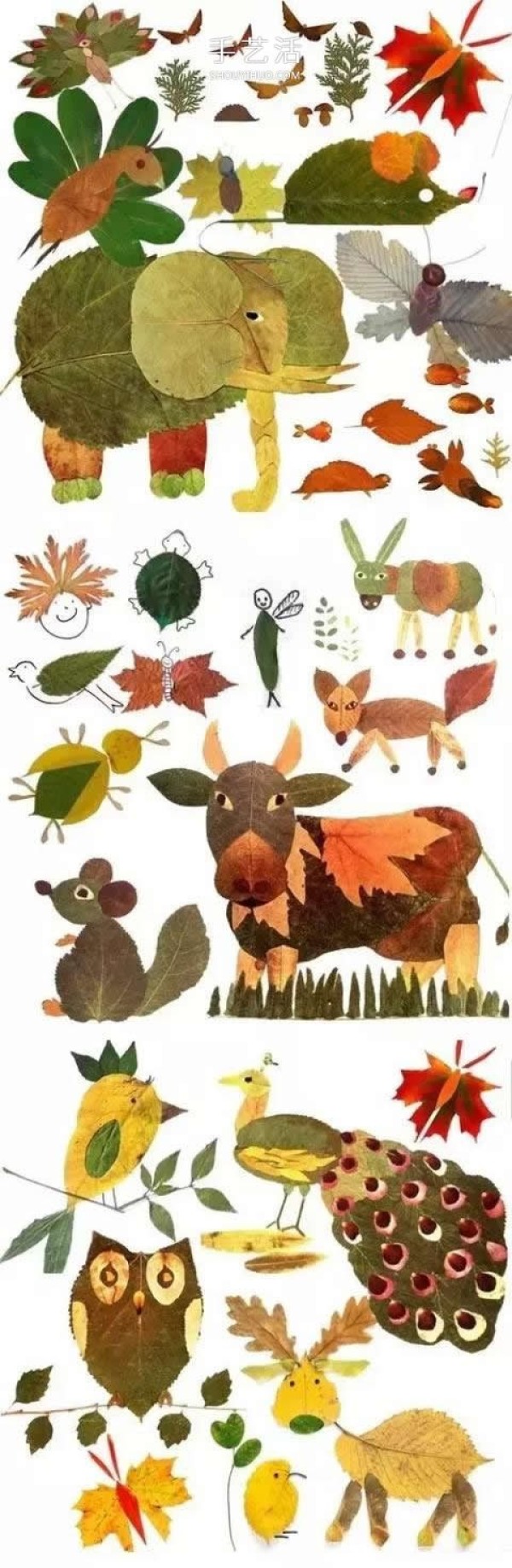 A collection of simple and beautiful leaf stickers for children