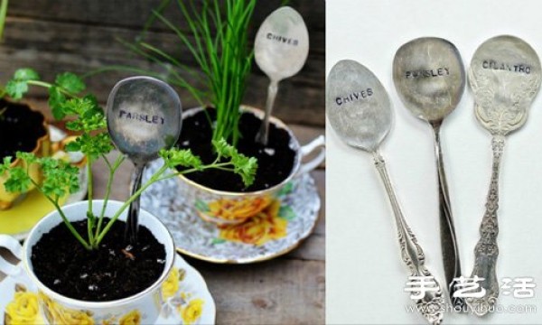 Ceramic cup and saucer + retro metal spoon DIY to make a small fresh potted plant