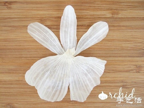 Creative DIY: It turns out that garlic can be so fun! 