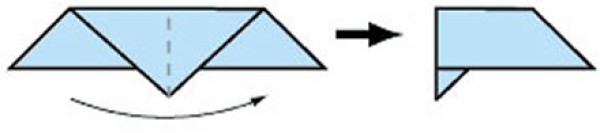 Tutorial of origami wild goose for young children, simple manual folding method of wild goose with illustrations