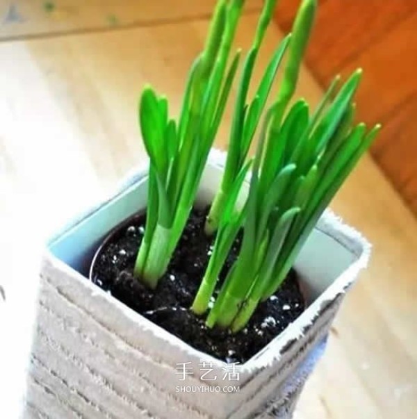 Illustration of how to use milk carton waste to make simple flower pots by hand